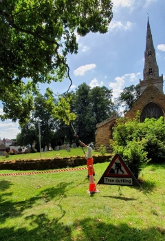 Using a Powered Pole Pruner