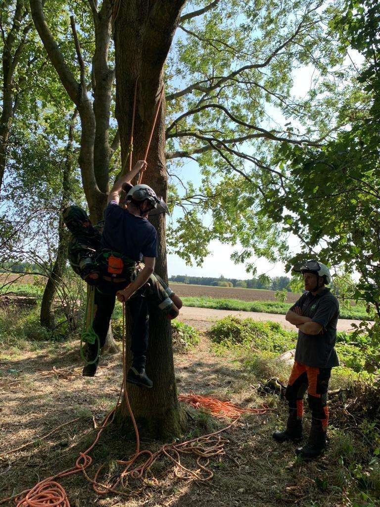 This Lantra accredited course is developed for anyone needing to learn how to safely climb a tree, and how to rescue someone stranded in a tree. Walk away with new skills that could be potentially lifesaving. Upon successfully completing the assessment element of this course the learner will gain a the qualification.  
This course has 5 dedicated days for training and 1 day for assessment. 
Number of candidates per course: 4