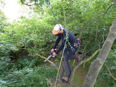 Our course will provide you with the knowledge, skills, and understanding to carry out aerial pruning of a tree through a three day course followed by a one day assessment. It covers the pruning of a tree from a rope and harness . Upon successfully completing the assessment element of this course, you will receive a nationally recognised qualification that is registered with Ofqual.
Please note that there are prerequisites to this course that are listed below.



We need 4 candidates to run this course. For more details email info@vmt.dev01.qoob.agency