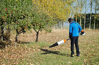 This one-day leaf blower course is suitable for you if you have a combi tool, a back pack blower or a dedicated machine.

The leaf blower is the go-to machine for many working in horticulture, arboriculture, and forestry industries.
 
Our course will teach you the skills to operate a leaf blower safely and efficiently.
 
You'll also learn about maintenance specific to a blower, to help keep the machine in tip-top condition.

This can be bolted on to a Brushcutter/Strimmer or Hedgetrimmer course, to achieve in 1 day.

This is a bespoke course so please email info@vmt.dev01.qoob.agency for availability.