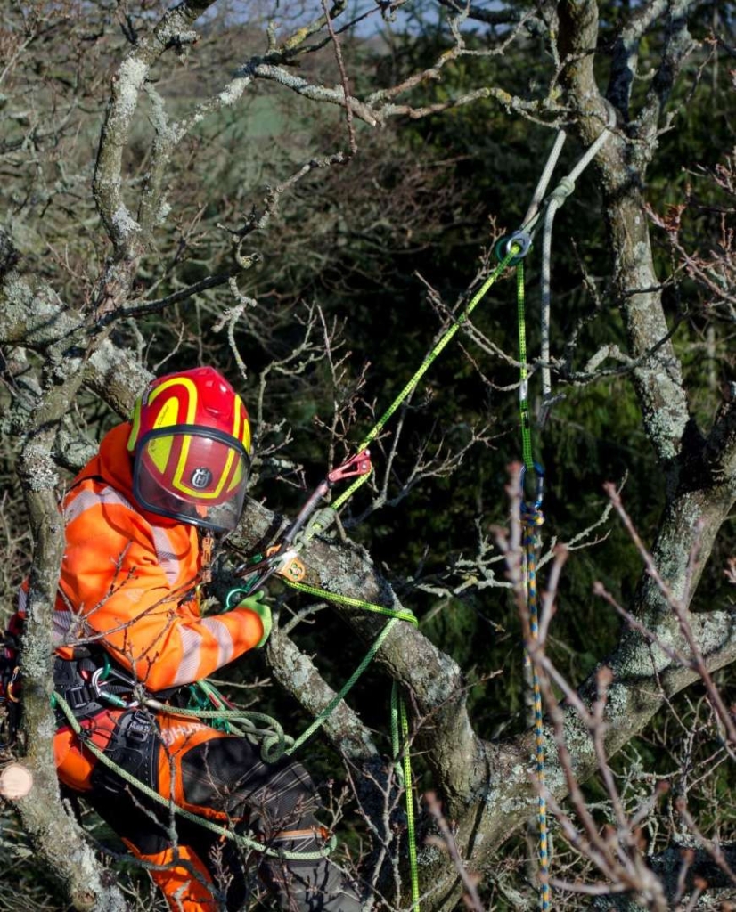 A 3 day integrated assessment course to enable the candidate to understand the Stationary Rope Technique for Tree Climbing. As such you will look at a range of skills and knowledge required to develop climbing techniques and carry out SRT rescue methods.